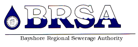 BRSA Logo